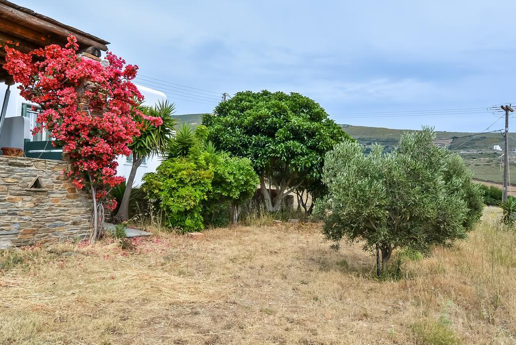 Villa Pergola Andros Gavrio Dış mekan fotoğraf