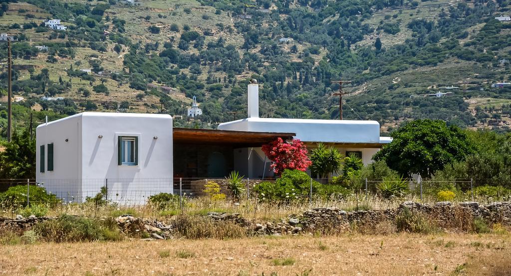 Villa Pergola Andros Gavrio Dış mekan fotoğraf