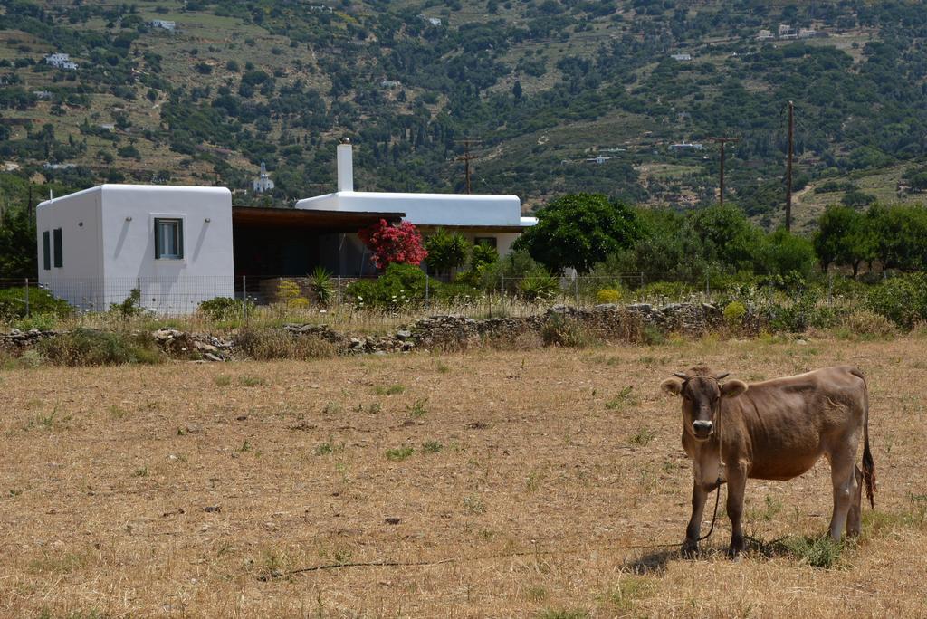 Villa Pergola Andros Gavrio Dış mekan fotoğraf