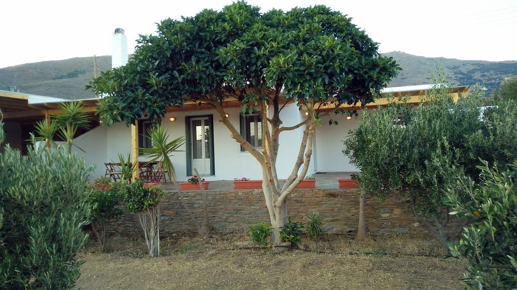 Villa Pergola Andros Gavrio Dış mekan fotoğraf