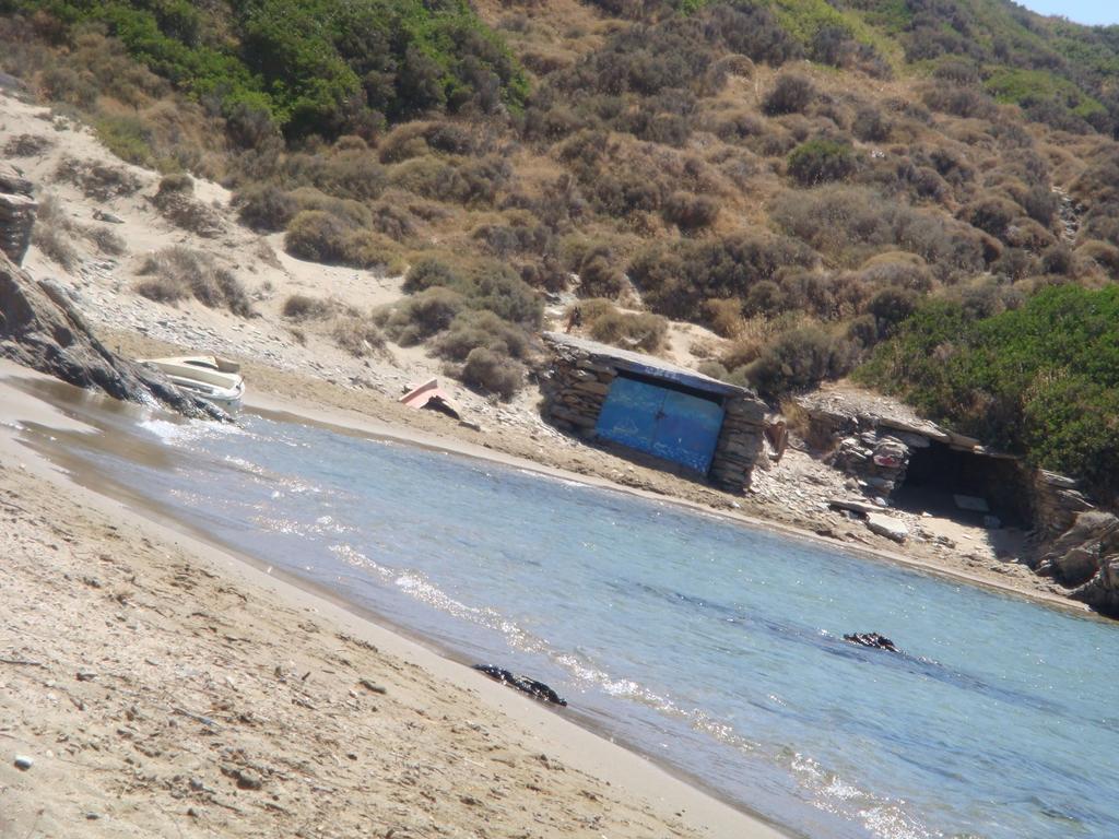 Villa Pergola Andros Gavrio Dış mekan fotoğraf